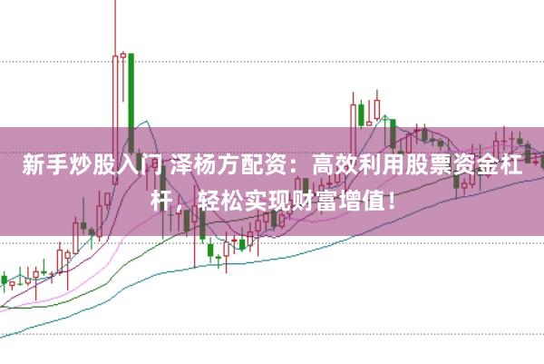 新手炒股入门 泽杨方配资：高效利用股票资金杠杆，轻松实现财富增值！