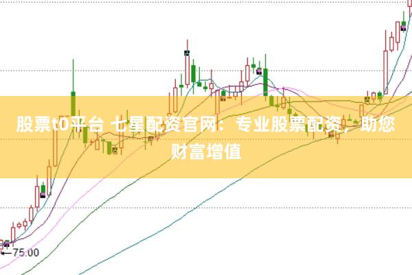 股票t0平台 七星配资官网:专业股票配资,助您财富增值