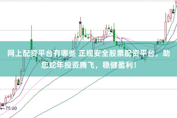 网上配资平台有哪些 正规安全股票配资平台，助您蛇年投资腾飞，稳健盈利！