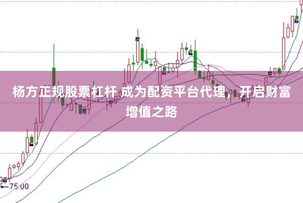 杨方正规股票杠杆 成为配资平台代理，开启财富增值之路
