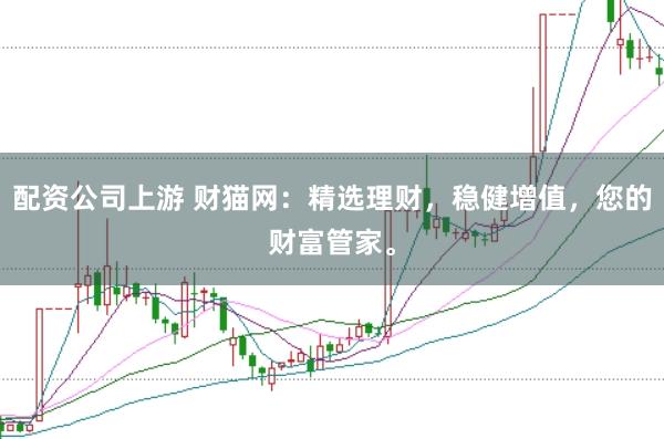 配资公司上游 财猫网：精选理财，稳健增值，您的财富管家。