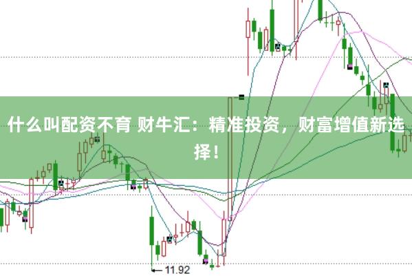 什么叫配资不育 财牛汇:精准投资,财富增值新选择!
