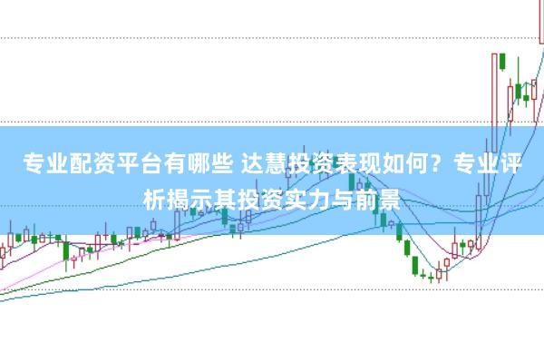专业配资平台有哪些 达慧投资表现如何？专业评析揭示其投资实力与前景