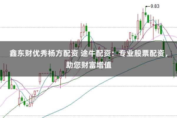 鑫东财优秀杨方配资 途牛配资：专业股票配资，助您财富增值