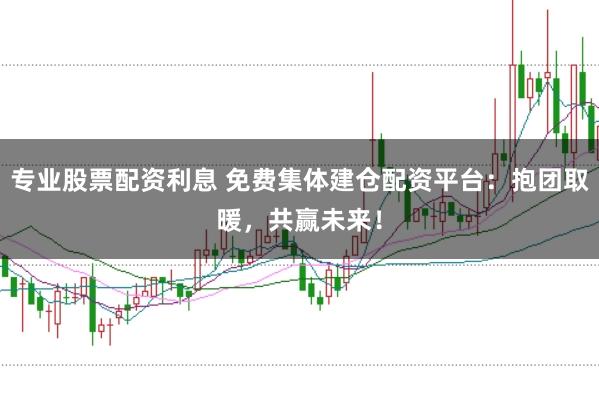 专业股票配资利息 免费集体建仓配资平台：抱团取暖，共赢未来！