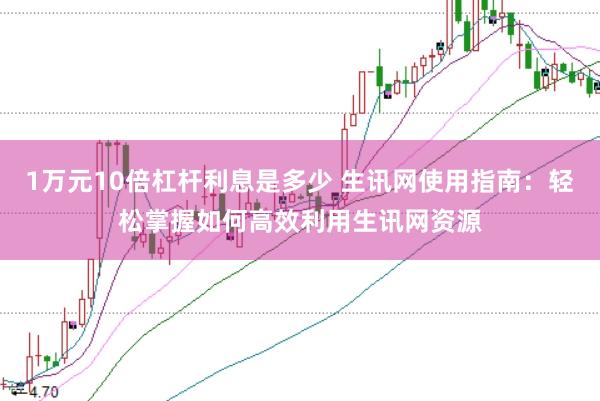 1万元10倍杠杆利息是多少 生讯网使用指南：轻松掌握如何高效利用生讯网资源