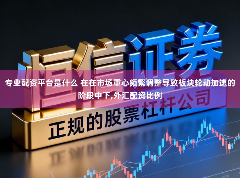 专业配资平台是什么 在在市场重心频繁调整导致板块轮动加速的阶段中下，外汇配资比例