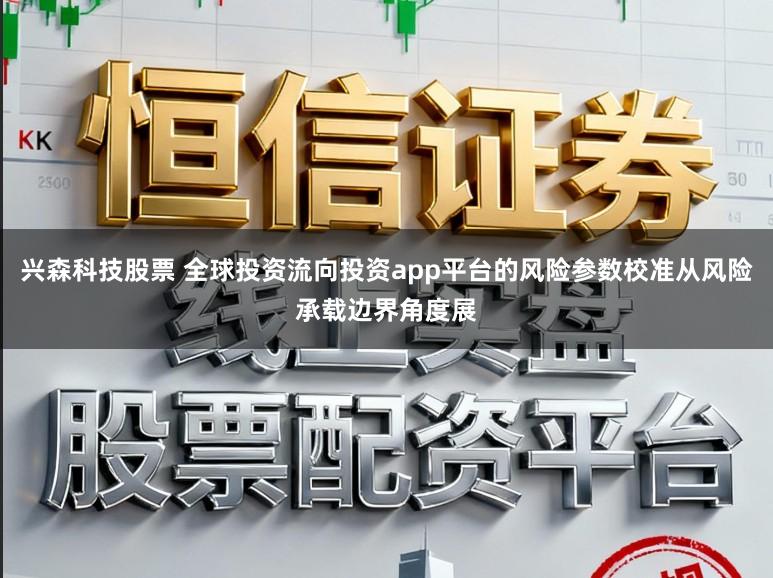 兴森科技股票 全球投资流向投资app平台的风险参数校准从风险承载边界角度展
